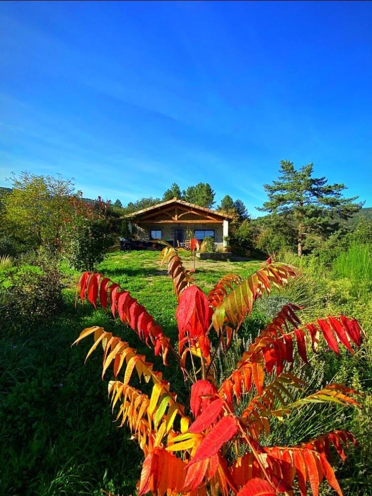 Villa Retour à l'essentiel dans le parc national Saint-Andre-Capceze Esterno foto